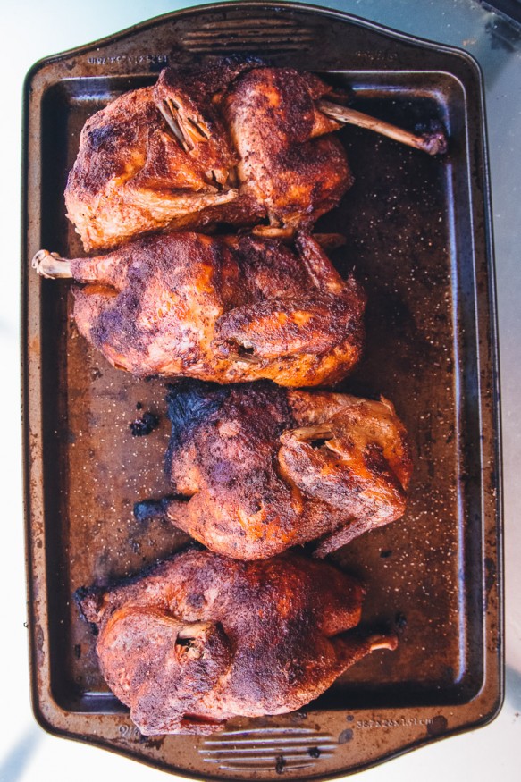 Slow cooked on the grill and apple wood-smoked barbecue pulled chicken with a home-made seasoning. Makes a great pulled pork sandwich substitute!