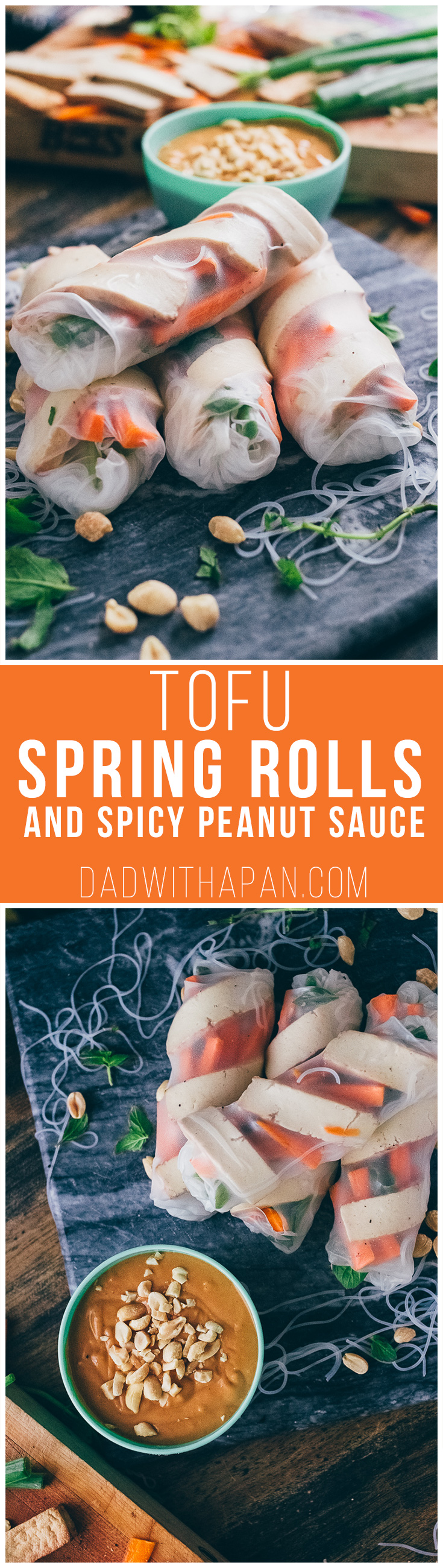 Sesame Ginger Tofu Spring Rolls With Spicy Peanut Sauce