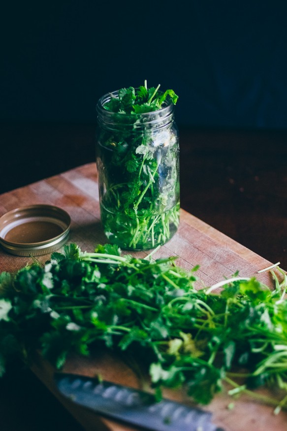 Tired of wasting cilantro? Cut the stems and store the leftovers in a jar with a little water and it'll last you weeks!